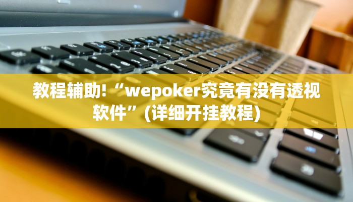 教程辅助!“wepoker究竟有没有透视软件”(详细开挂教程)