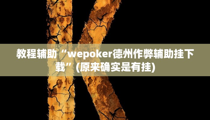 教程辅助“wepoker德州作弊辅助挂下载”(原来确实是有挂)