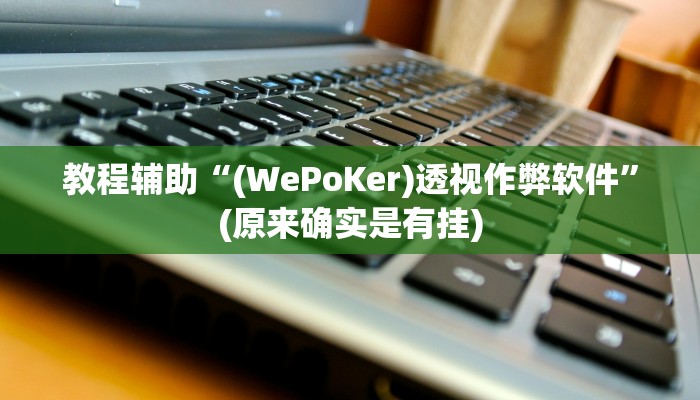 教程辅助“(WePoKer)透视作弊软件”(原来确实是有挂)