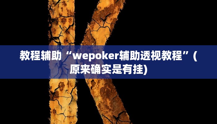 教程辅助“wepoker辅助透视教程”(原来确实是有挂)
