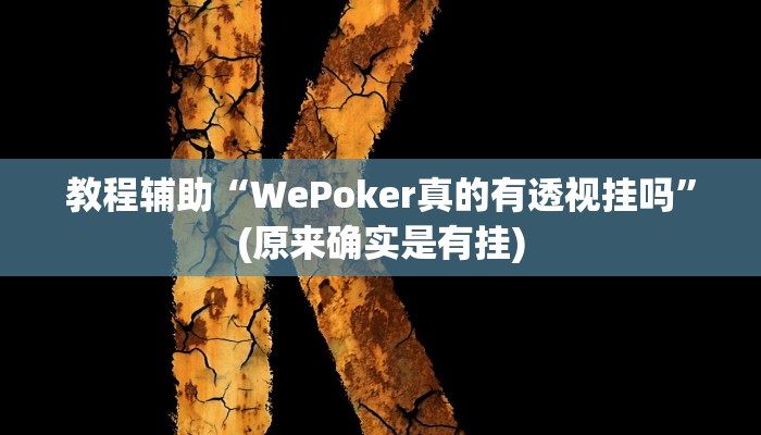 教程辅助“WePoker真的有透视挂吗”(原来确实是有挂)