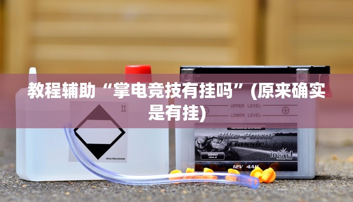 教程辅助“掌电竞技有挂吗”(原来确实是有挂)
