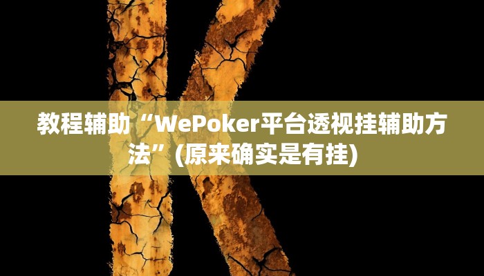 教程辅助“WePoker平台透视挂辅助方法”(原来确实是有挂)