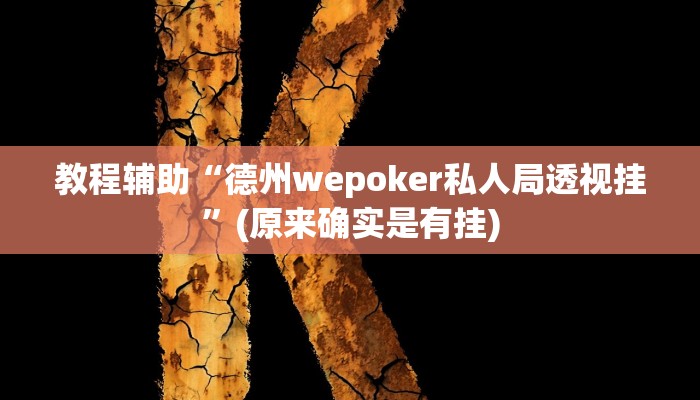 教程辅助“德州wepoker私人局透视挂”(原来确实是有挂)