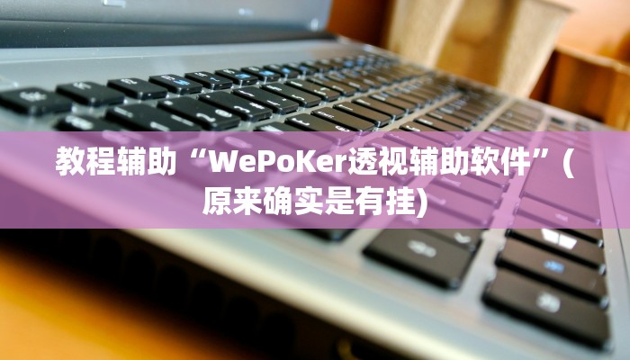 教程辅助“WePoKer透视辅助软件”(原来确实是有挂)