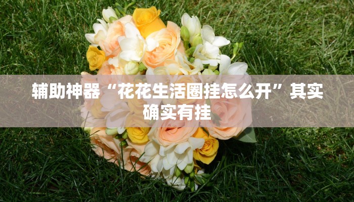 辅助神器“花花生活圈挂怎么开”其实确实有挂