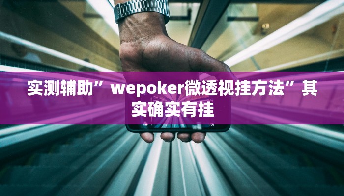 实测辅助”wepoker微透视挂方法”其实确实有挂