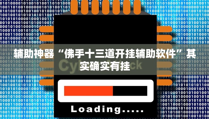 辅助神器“佛手十三道开挂辅助软件”其实确实有挂