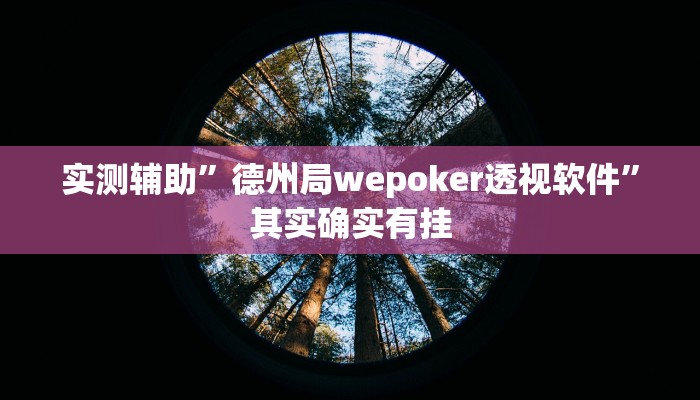 实测辅助”德州局wepoker透视软件”其实确实有挂