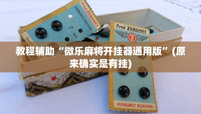 教程辅助“微乐麻将开挂器通用版”(原来确实是有挂)