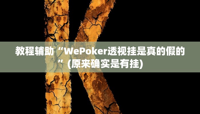 教程辅助“WePoker透视挂是真的假的”(原来确实是有挂)