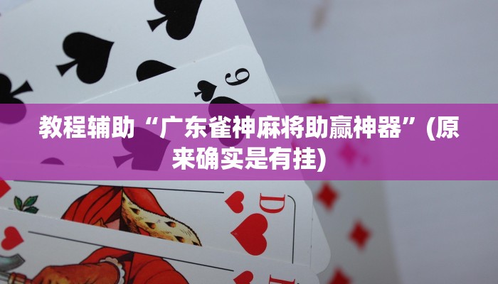 教程辅助“HHpoker开挂辅助透视”(原来确实是有挂)