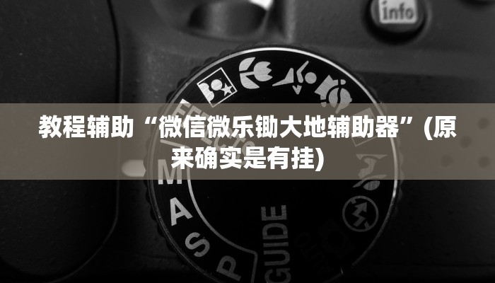 教程辅助“微信微乐锄大地辅助器”(原来确实是有挂)