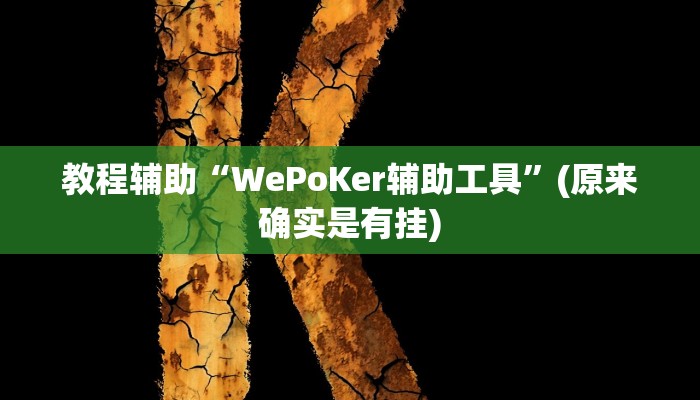 教程辅助“WePoKer辅助工具”(原来确实是有挂)