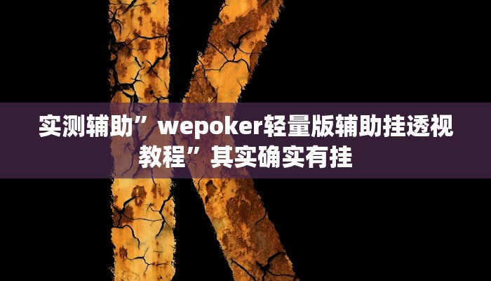 教程辅助“德扑之星插件”(原来确实是有挂)