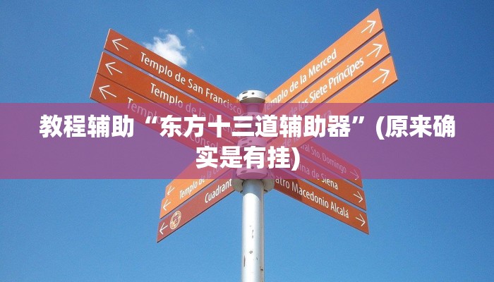 教程辅助“德扑之星透视作弊挂使用教程”(原来确实是有挂)