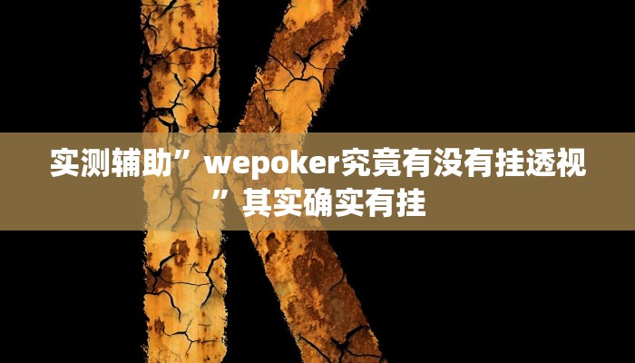 辅助神器“德扑之星辅助器开挂教程”其实确实有挂