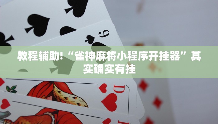 教程辅助“hhpoker ”开挂透视方法”(原来确实是有挂)