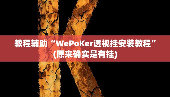教程辅助“WePoKer透视挂安装教程”(原来确实是有挂)
