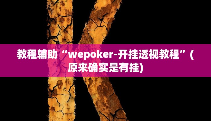 教程辅助“wepoker-开挂透视教程”(原来确实是有挂)