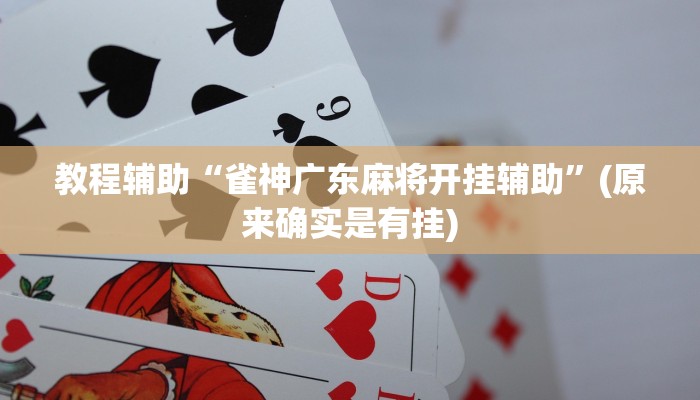 教程辅助“雀神广东麻将开挂辅助”(原来确实是有挂)