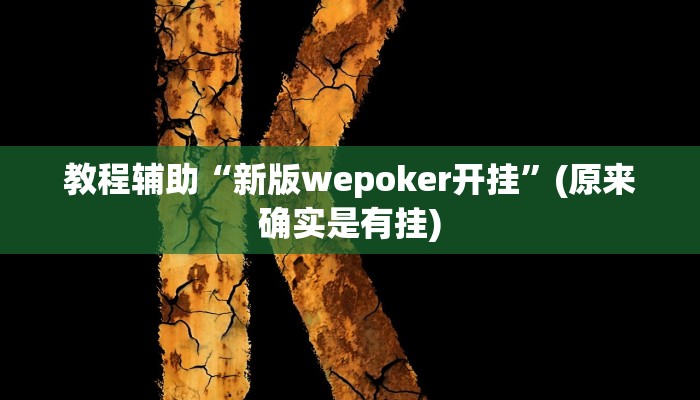 教程辅助“新版wepoker开挂”(原来确实是有挂)