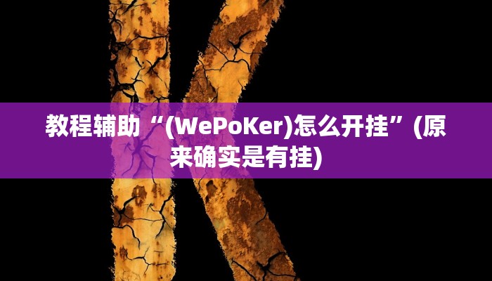 教程辅助“(WePoKer)怎么开挂”(原来确实是有挂)