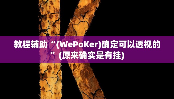 教程辅助“(WePoKer)确定可以透视的”(原来确实是有挂)