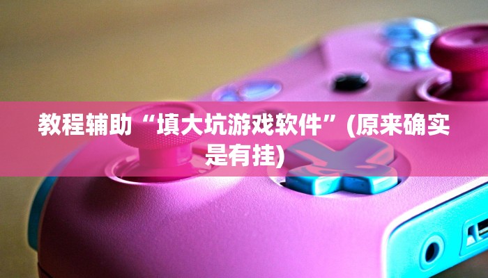 教程辅助“填大坑游戏软件”(原来确实是有挂)