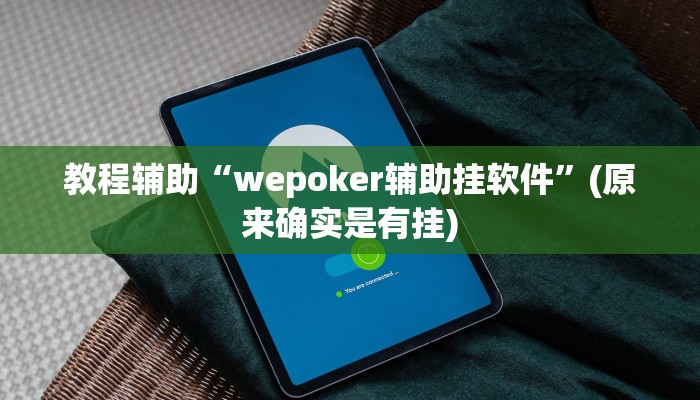 教程辅助“wepoker辅助挂软件”(原来确实是有挂)