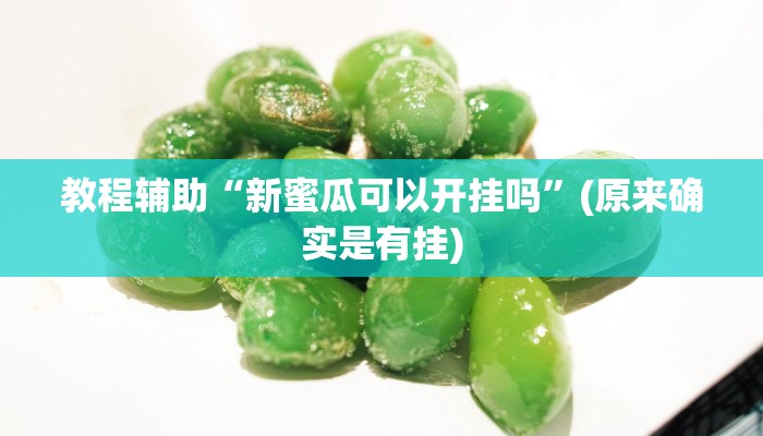 辅助神器“衣兆丰悦是不是有挂”(详细开挂教程)
