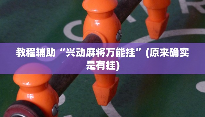 教程辅助“兴动麻将万能挂”(原来确实是有挂)