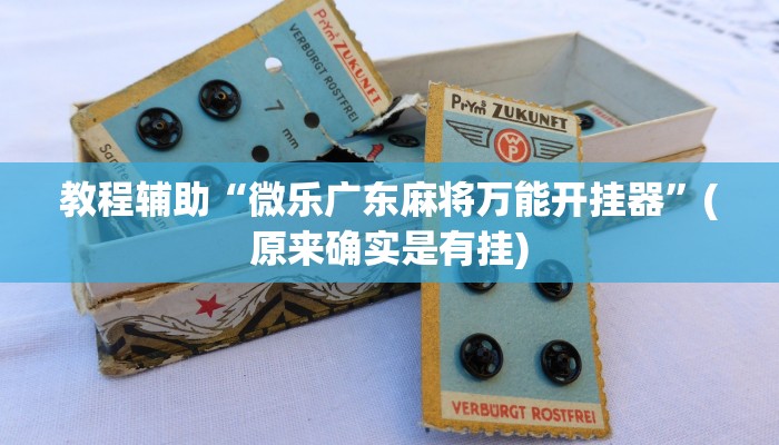教程辅助“微乐广东麻将万能开挂器”(原来确实是有挂)