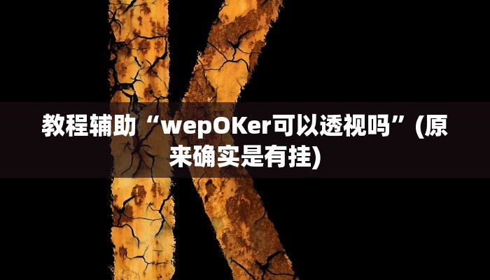 教程辅助“wepOKer可以透视吗”(原来确实是有挂)