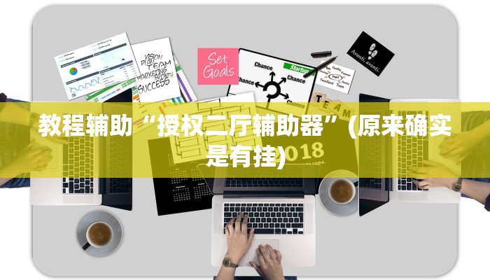 教程辅助“授权二厅辅助器”(原来确实是有挂)