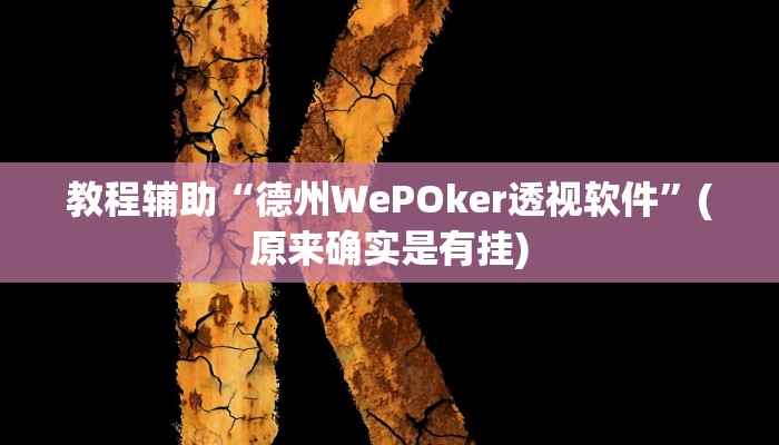 教程辅助“德州WePOker透视软件”(原来确实是有挂)