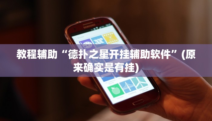 教程辅助“德扑之星开挂辅助软件”(原来确实是有挂)