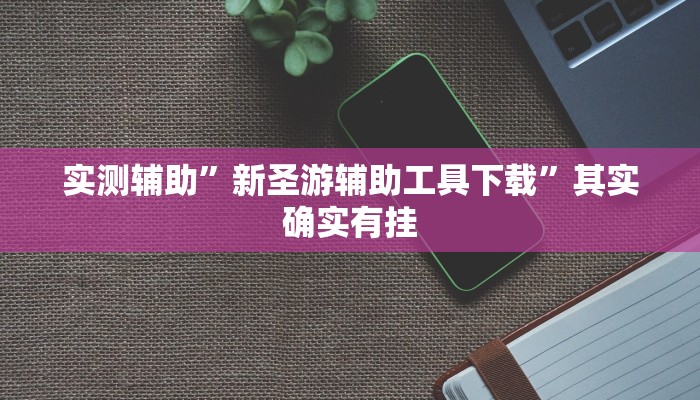 实测辅助”新圣游辅助工具下载”其实确实有挂