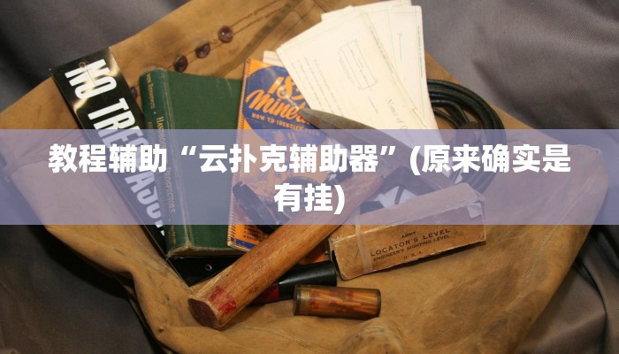 教程辅助“云扑克辅助器”(原来确实是有挂)