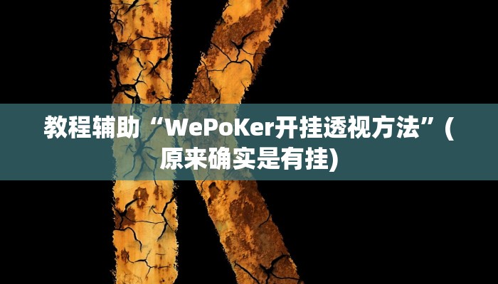 教程辅助“WePoKer开挂透视方法”(原来确实是有挂)