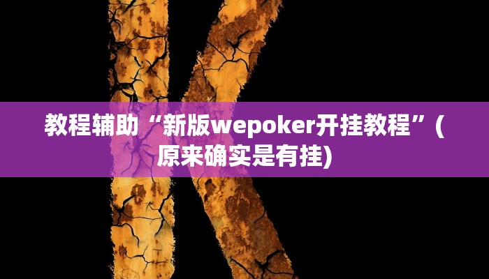 教程辅助“新版wepoker开挂教程”(原来确实是有挂)