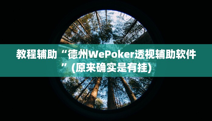 教程辅助“wepoker看底牌”(原来确实是有挂)