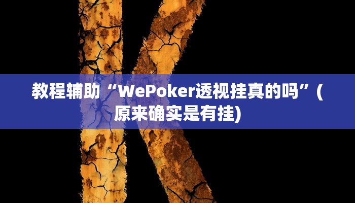 教程辅助“WePoker透视挂真的吗”(原来确实是有挂)