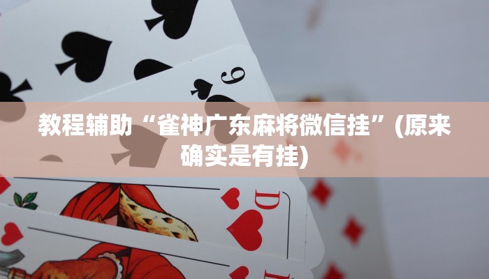 教程辅助“雀神广东麻将微信挂”(原来确实是有挂)
