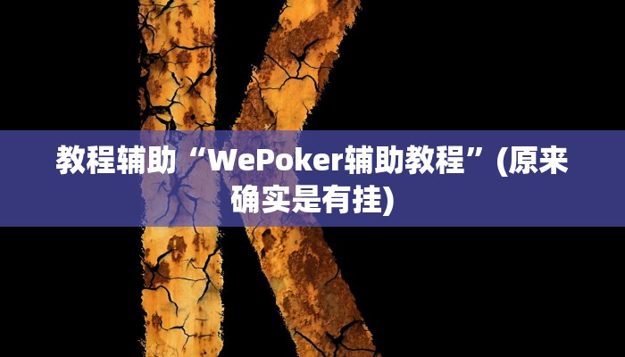 教程辅助“WePoker辅助教程”(原来确实是有挂)