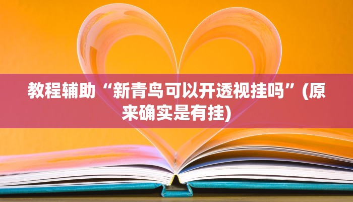 教程辅助“新青鸟可以开透视挂吗”(原来确实是有挂)