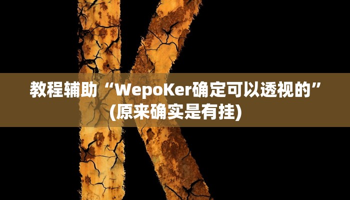 教程辅助“WepoKer确定可以透视的”(原来确实是有挂)