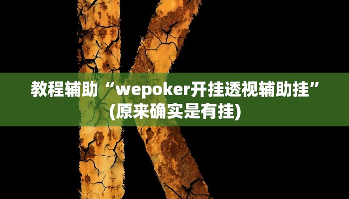 教程辅助“wepoker开挂透视辅助挂”(原来确实是有挂)