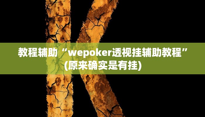 教程辅助“wepoker透视挂辅助教程”(原来确实是有挂)
