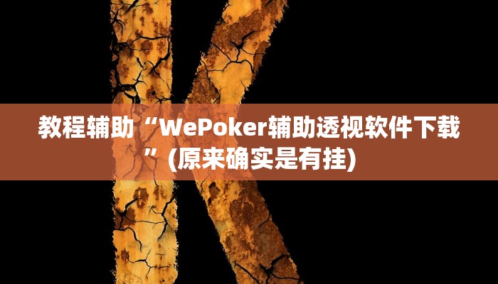 教程辅助“WePoker辅助透视软件下载”(原来确实是有挂)